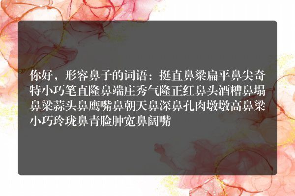 描写鼻子好看的成语