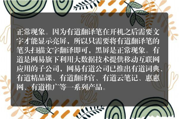 有道翻译笔开机后显示有道后黑屏