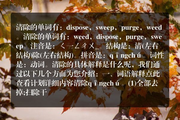 清除的单词清除的单词是什么