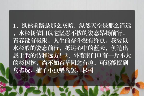 杉树造句子