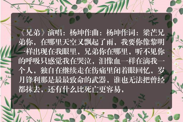 杨坤<<兄弟>>的歌词